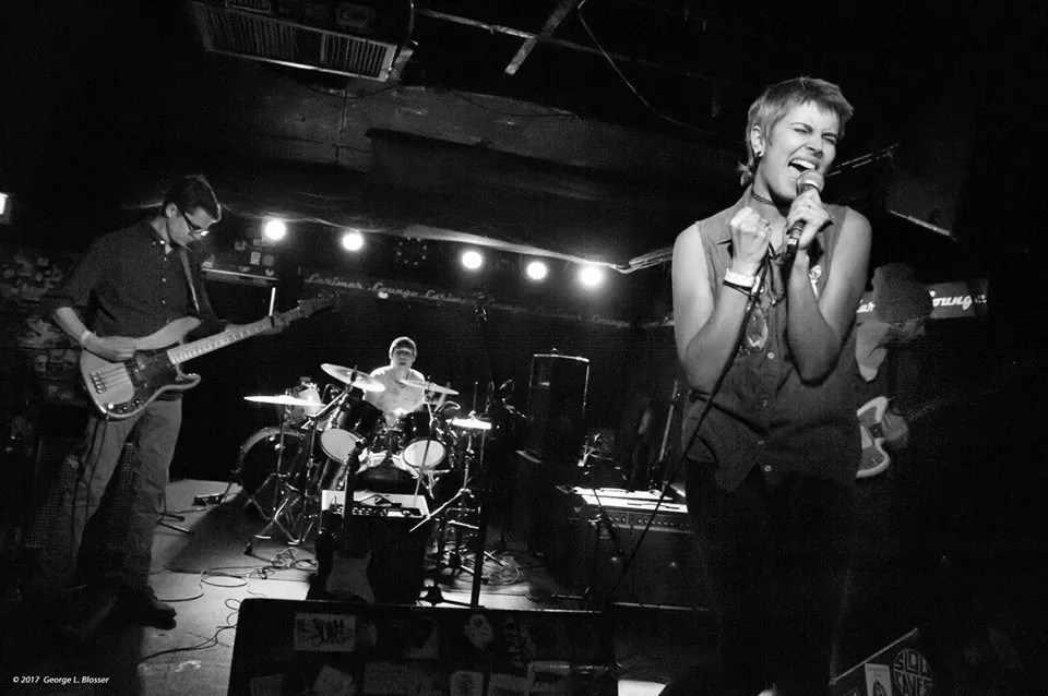 Oxeye Daisy Blossoms in Denver