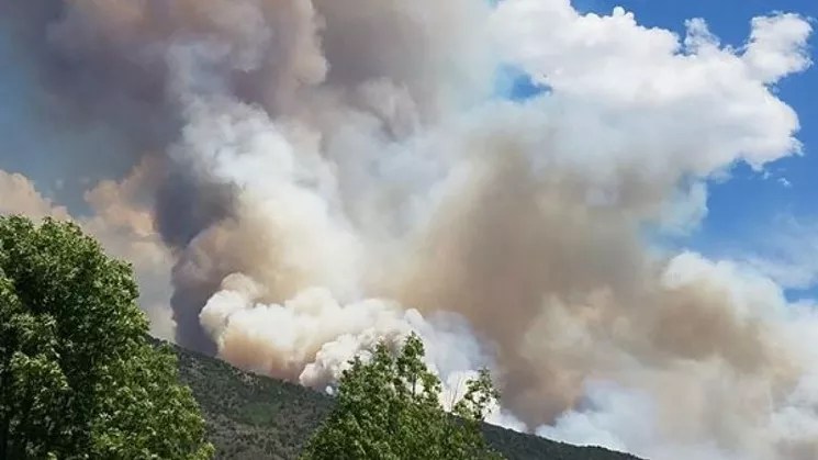Smoke over trees during the Lake Christine fire of 2018
