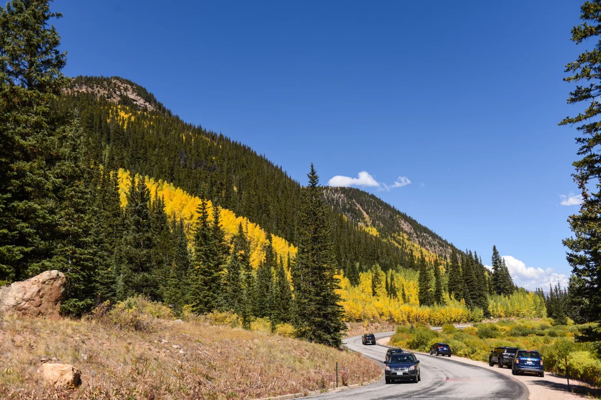 Aspens Near Denver Are Turning Color Right Now!