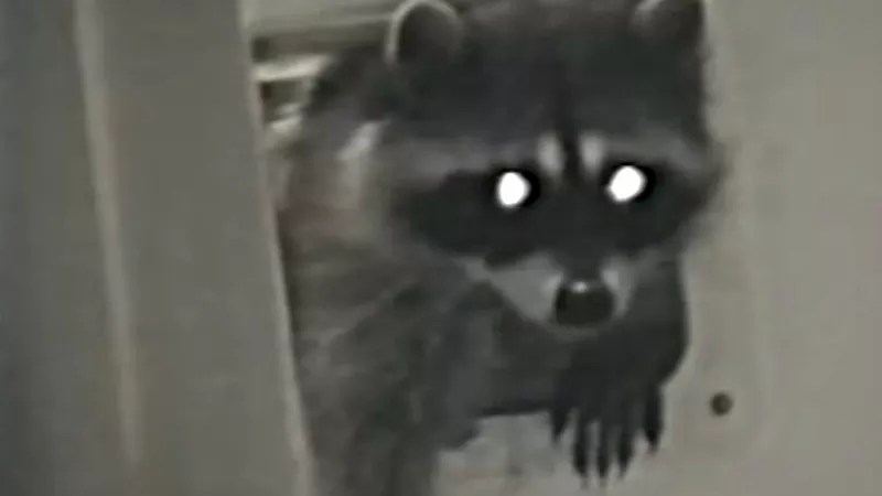 Denver Urban Wildlife Guide With Dr. Kevin Fitzgerald: How to Stay Safe