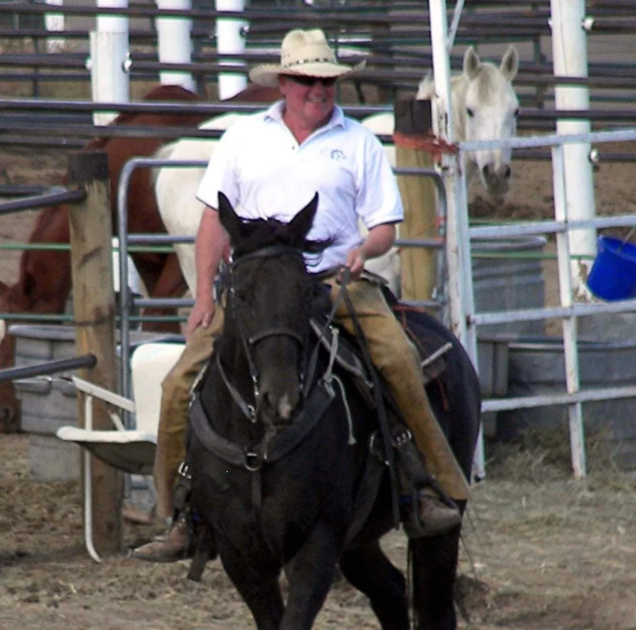 Bill Stiffler, Founder of Friends of Horses Rescue, Served With Eviction Notice