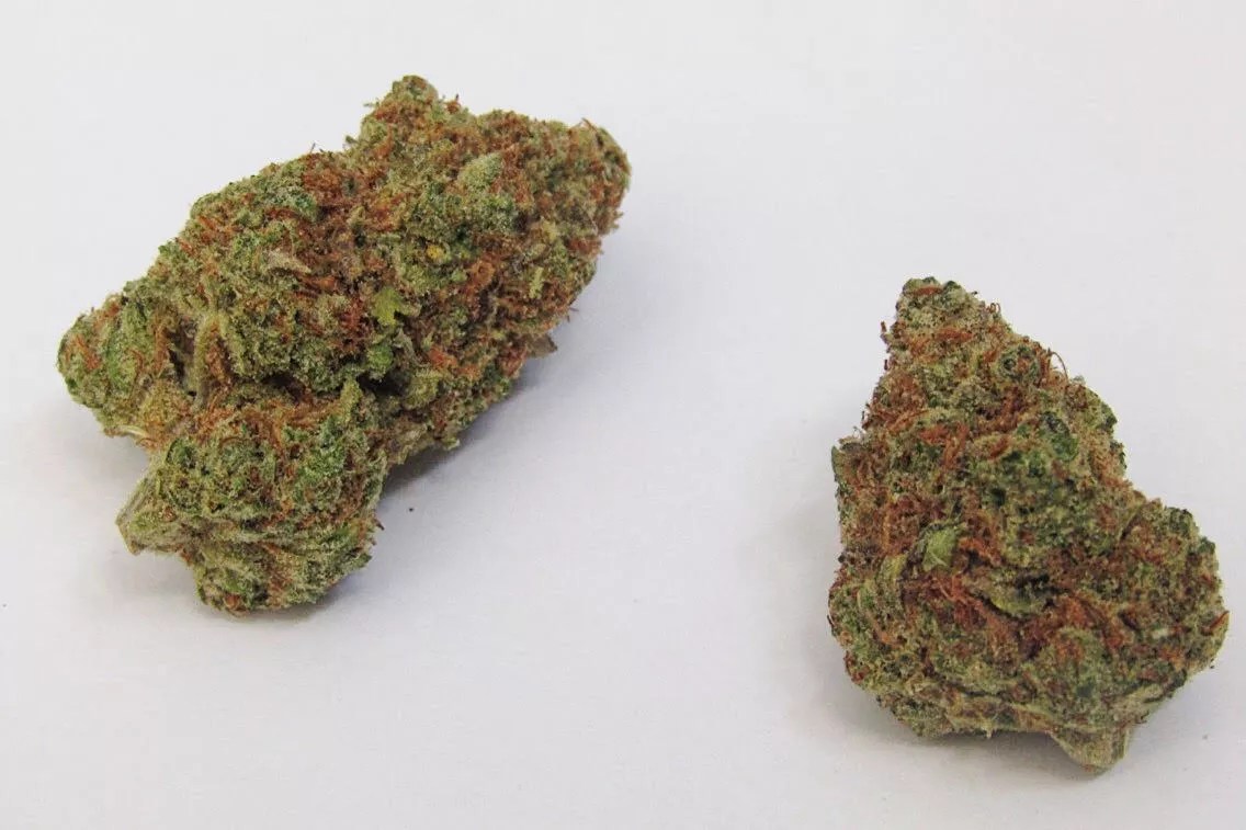 Why Colorado Tokers Love Tangerine Power