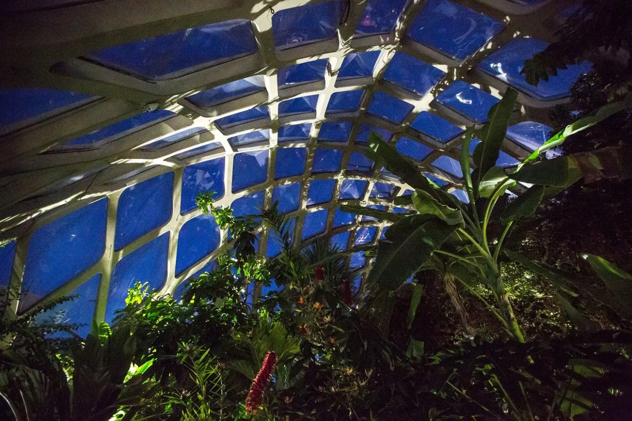 Why the Denver Botanic Gardens Doesn’t Grow Hemp
