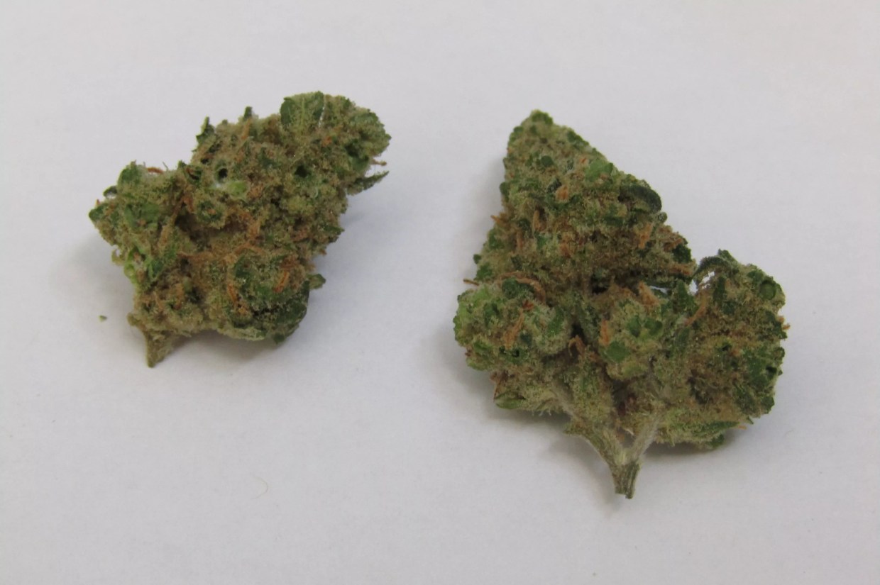 Why Colorado Tokers Love Sour OG