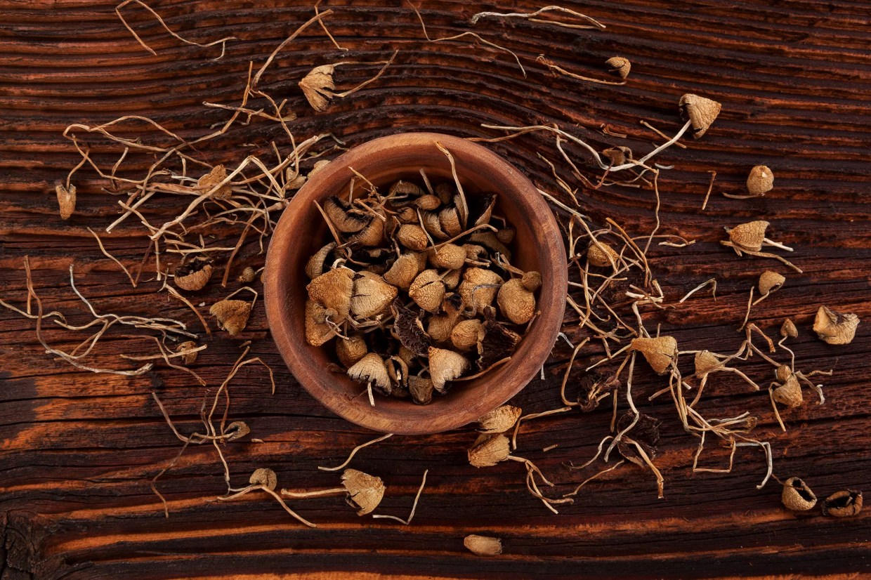 Psilocybin Initiative Moves to Signature-Gathering Stage for May 2019