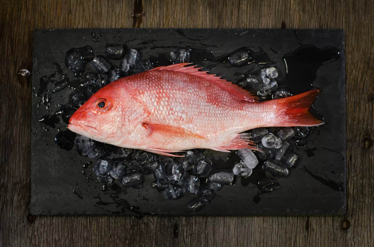 Ten Chefs, Restaurants and Companies Serving Sustainable Seafood