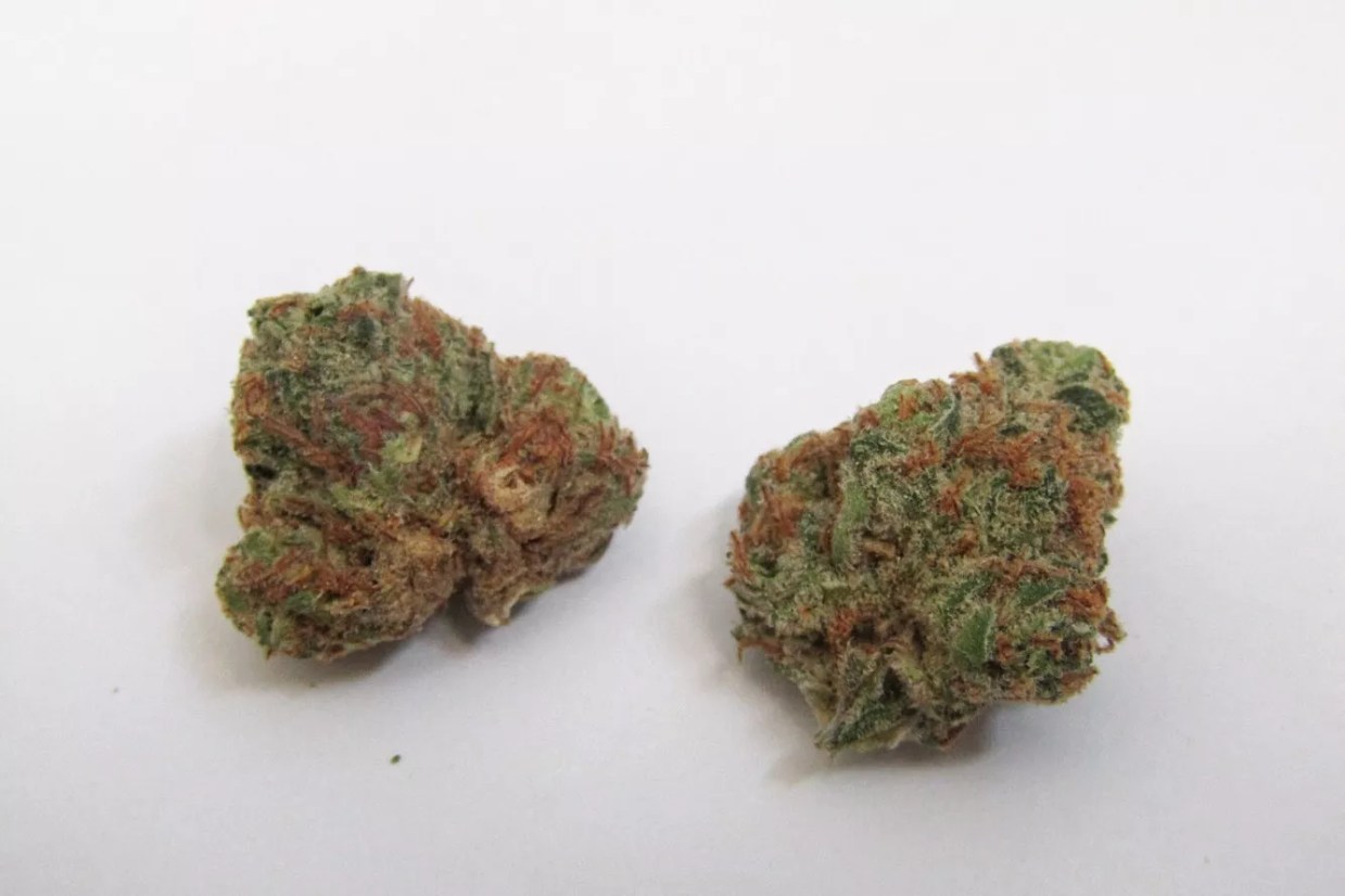 Why Colorado Tokers Love Purple Thai