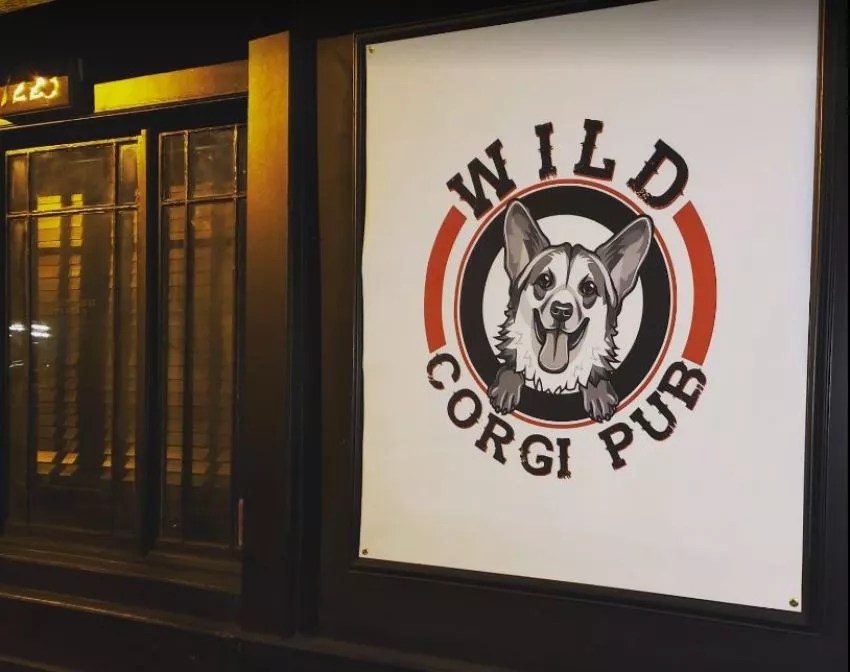 Welsh Corgis Are So Amazing People Are Naming Bars After Them