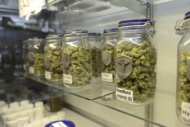 Jars of weed at a dispensary