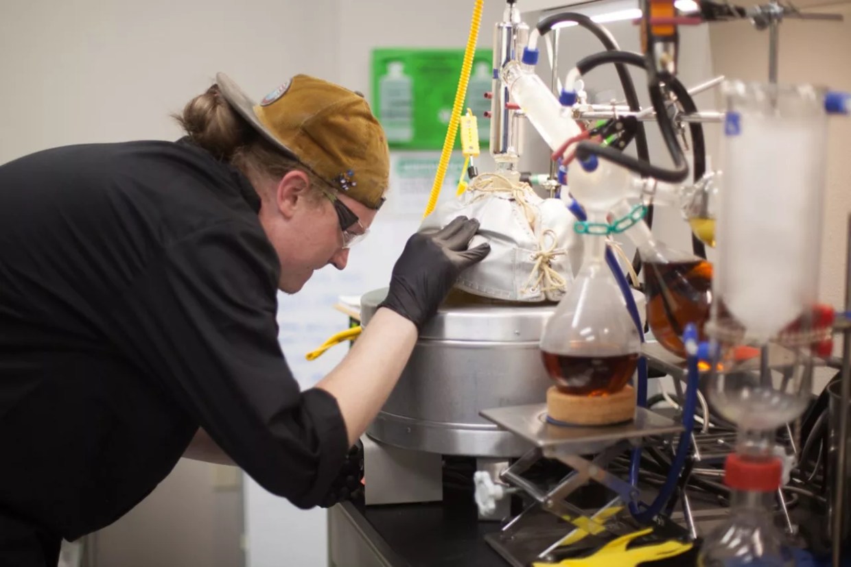 CU, Charlotte’s Web Partner to Study CBD’s Impact on Sleep and Anxiety