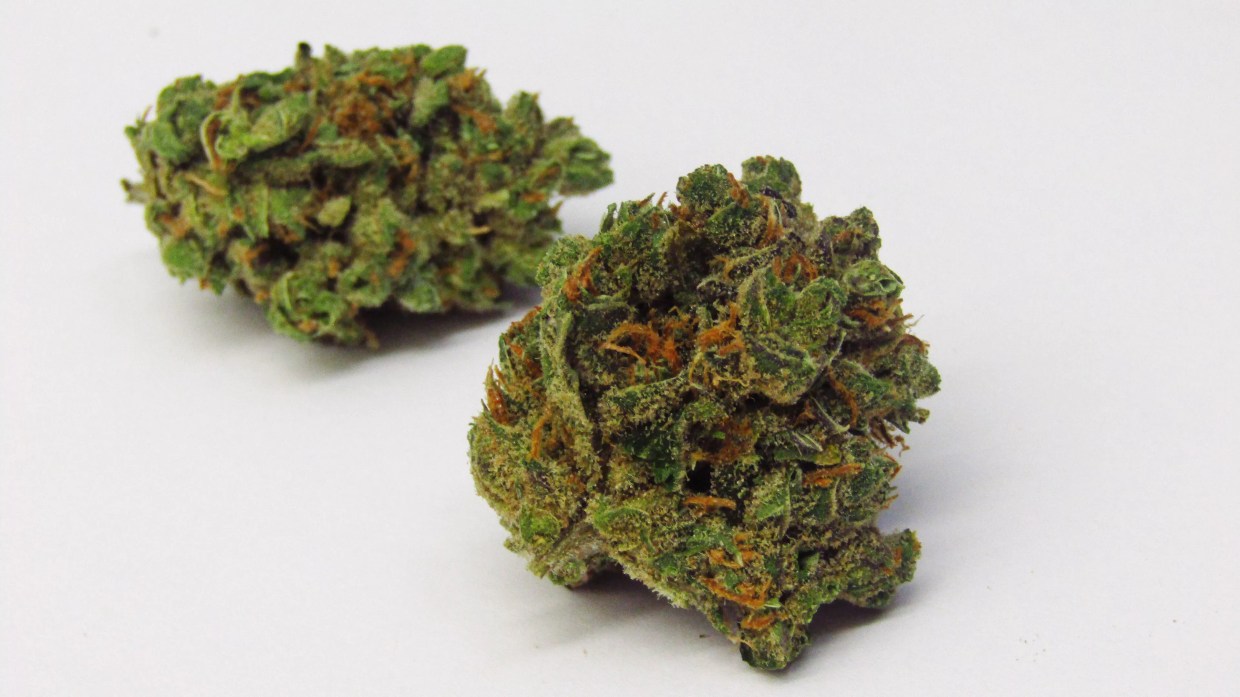 Why Colorado Tokers Love Crazy Glue