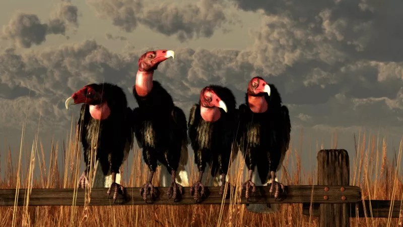 Local Business Titan’s New Campaign Against Vulture Owners of <i>Denver Post</i>
