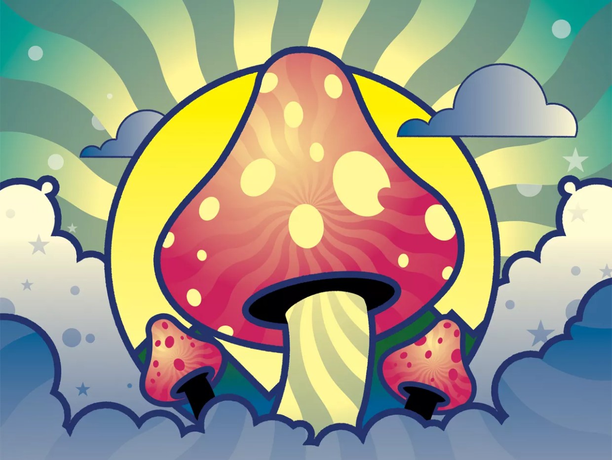 Who Will Control the Future of Psychedelics in Colorado?