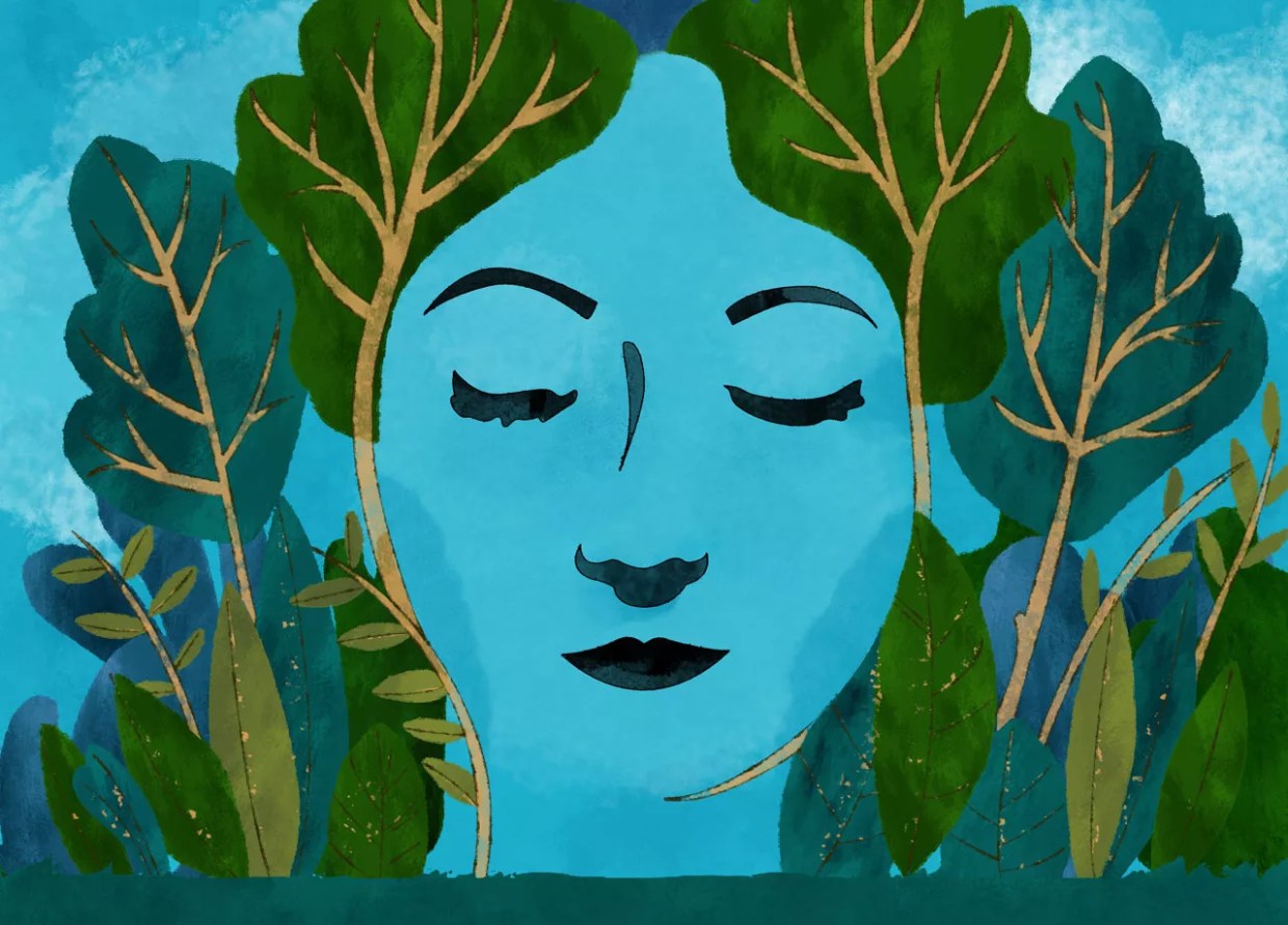 Forget Elms: Al Rollinger Rooted Out Denver’s Most Exotic Trees 50 Years Ago