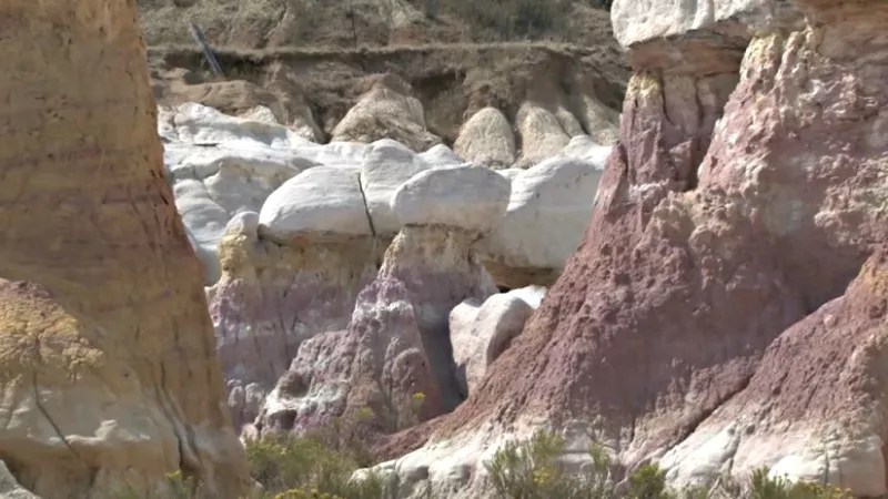 Best Easy Trails to Discover on New Colorado Trail Explorer App