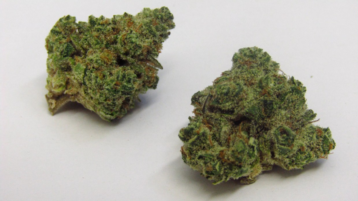 Why Colorado Tokers Love Sour Grapes