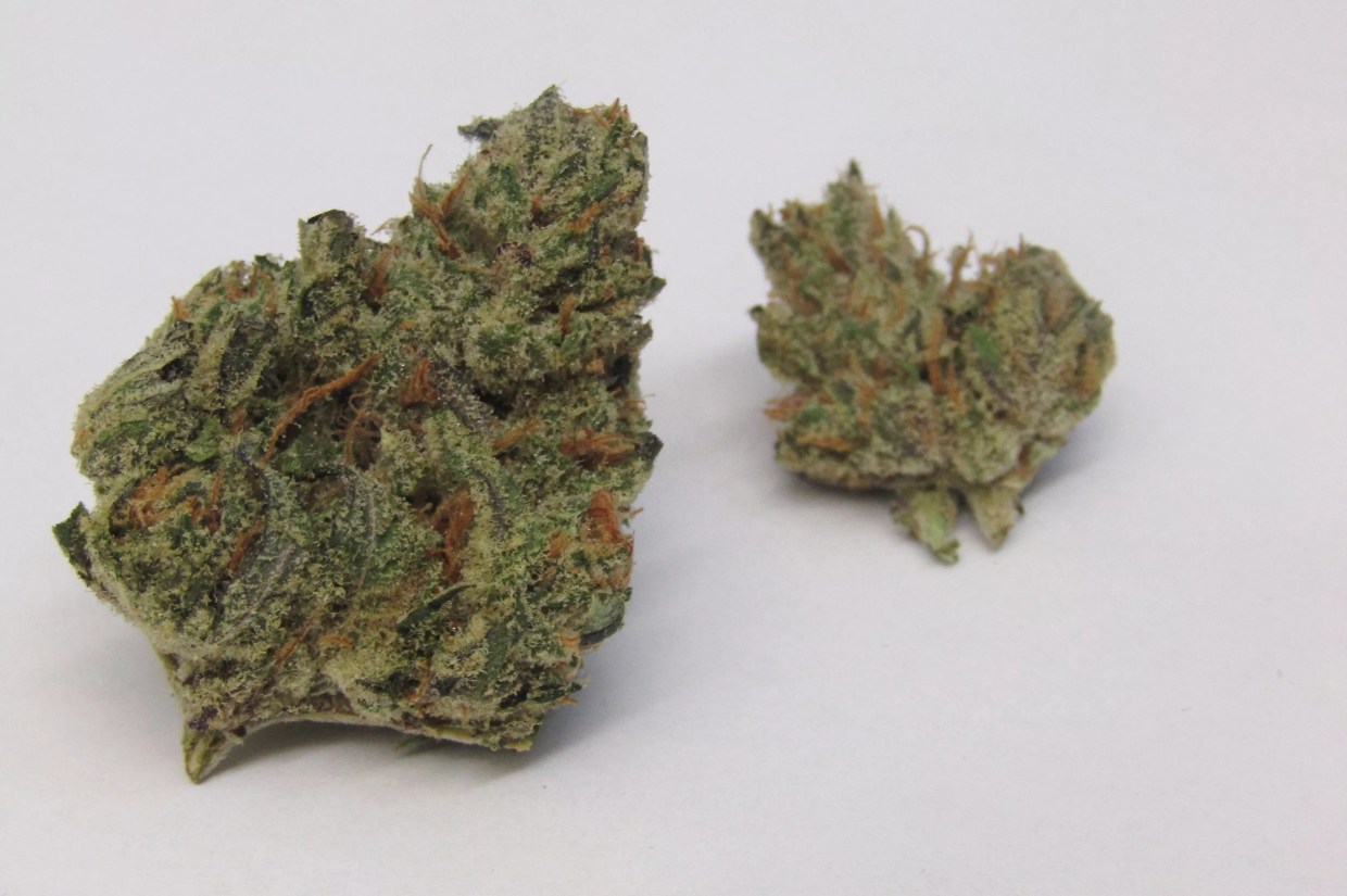 Why Colorado Tokers Love Space Monkey