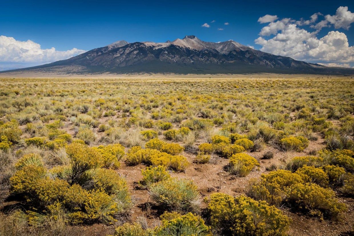 BLM Relocation Still a Mess, Government Report Finds