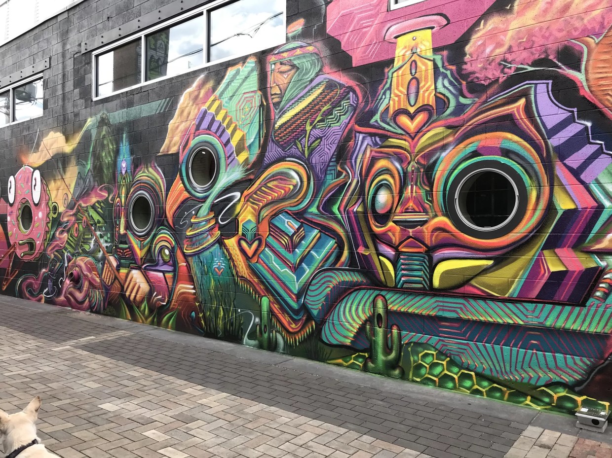 Crush Walls 2019: Eighteen Can’t-Miss Stops