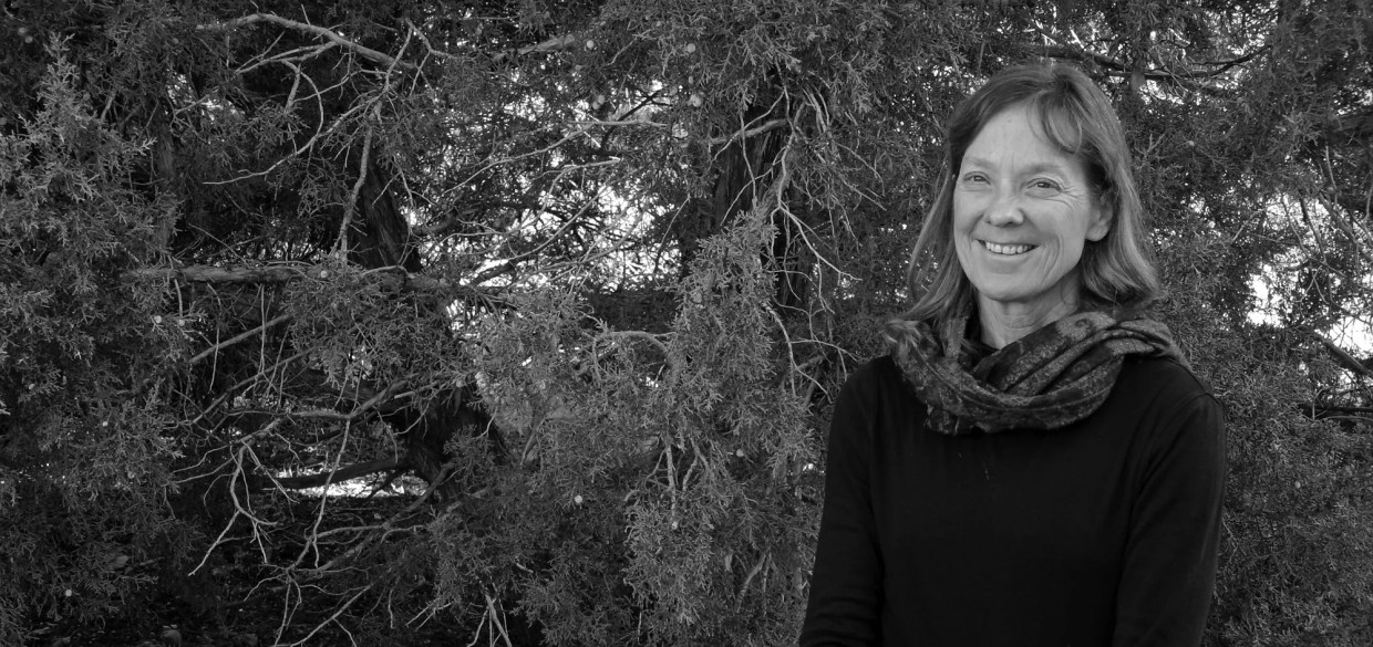 Jennie Dear’s New Book Asks <i>What Does It Feel Like to Die?</i>