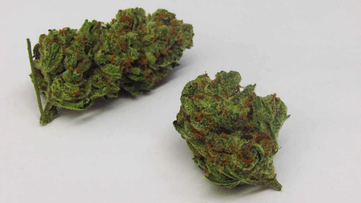 Why Colorado Tokers Love Lemon Meringue