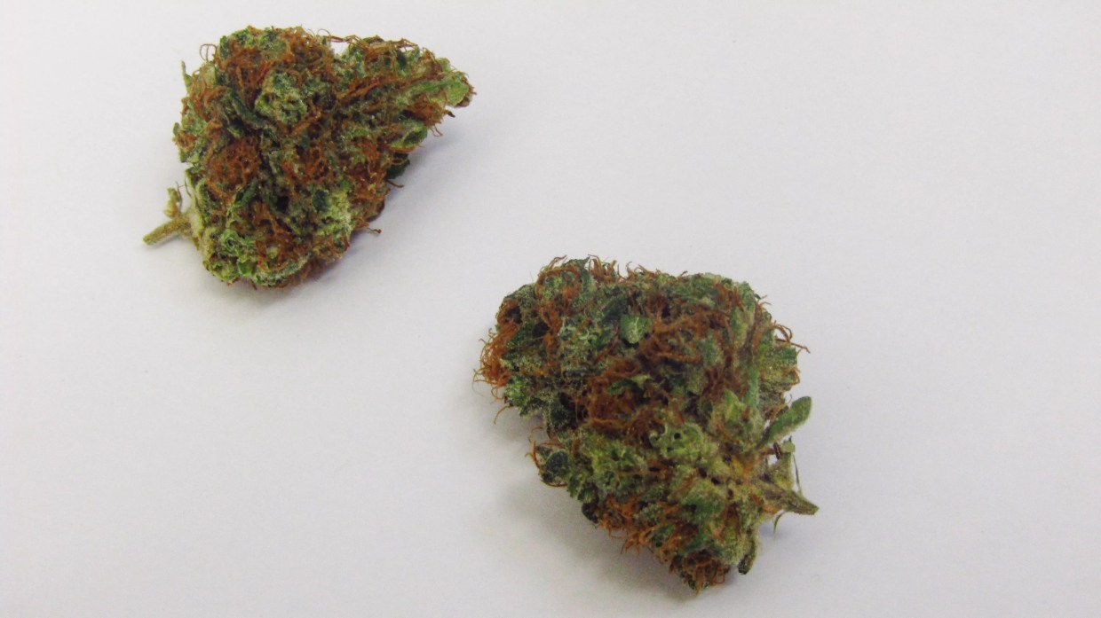 Why Colorado Tokers Love…Randy Newman?