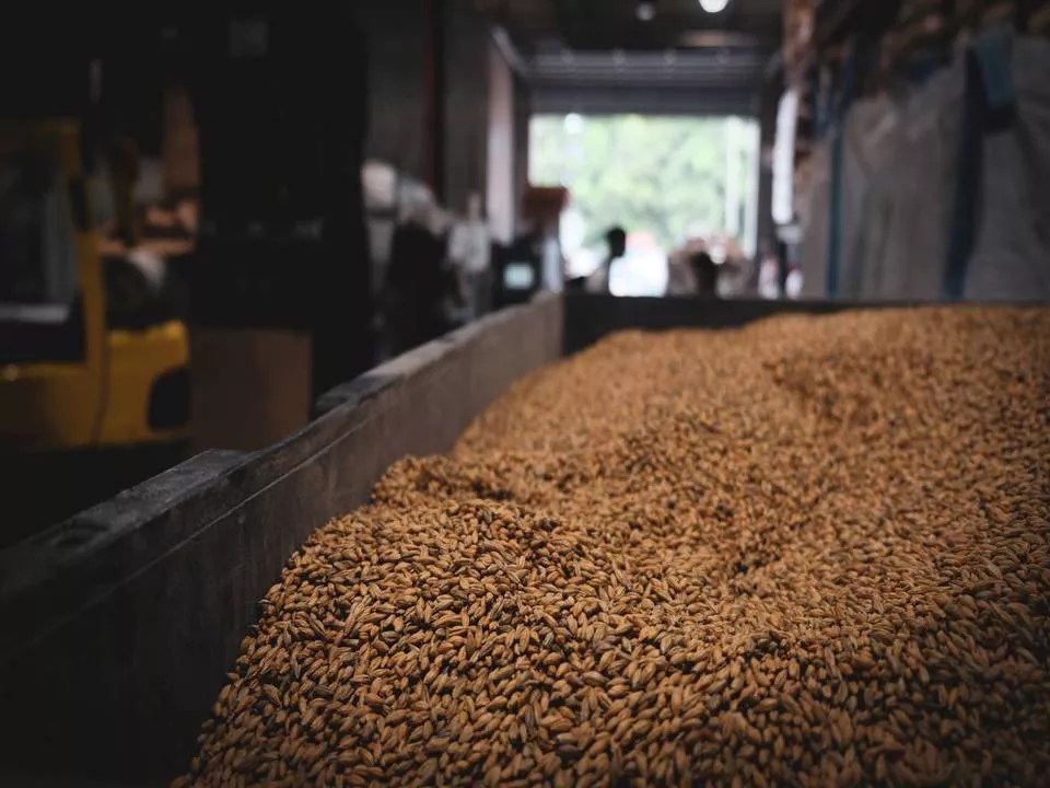 Beer Calendar: Raise a Toast at Bierstadt, Burns, Diebolt and Dos Luces