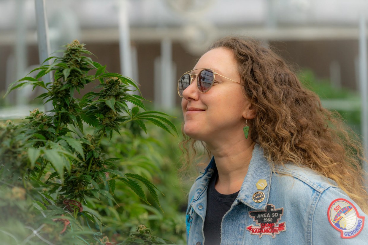 Skunky Aesthetic With Marijuana Style Writer Katie Shapiro