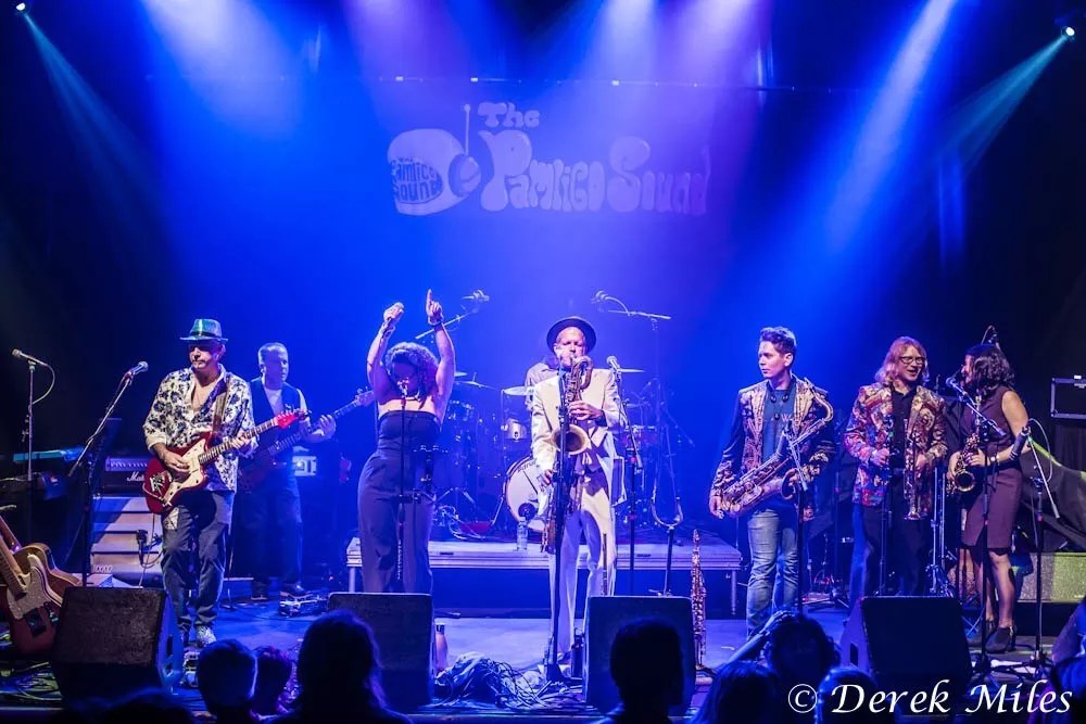 Will Baumgartner of Pamlico Sound Talks Sobriety and Soul