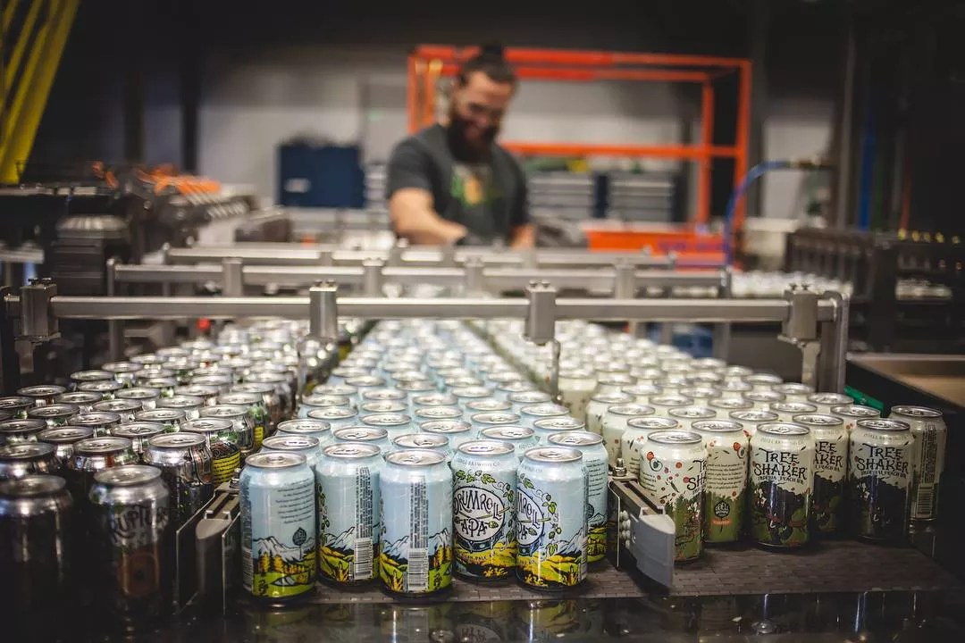 cans of beer in a production facility