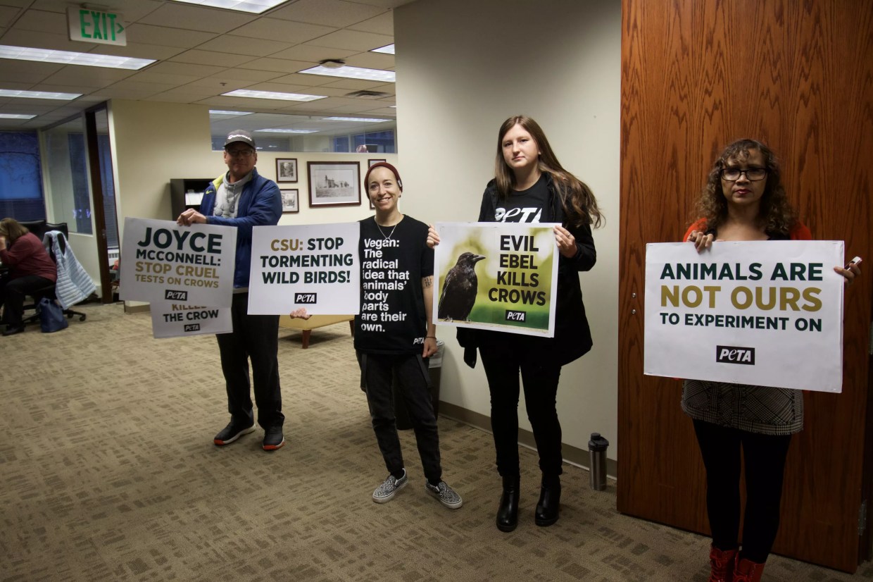 PETA Protesters Call on CSU to End Experiment Involving Birds