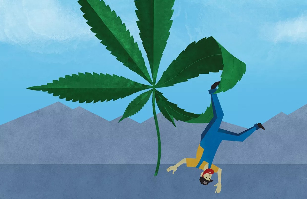 The Hemp Was Legal in Colorado. Kansas Didn’t Care.