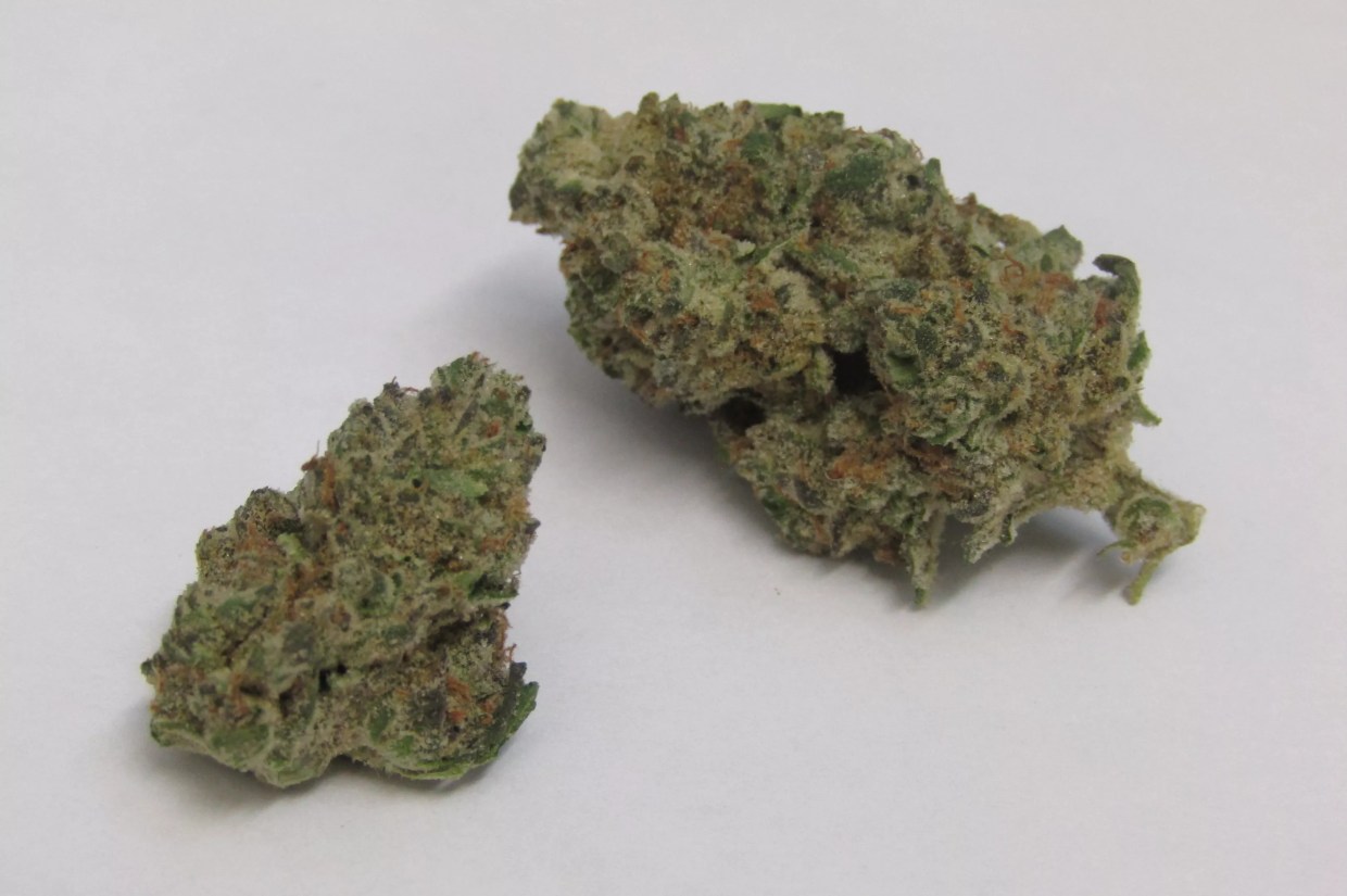 Why Colorado Tokers Love Kush Mints