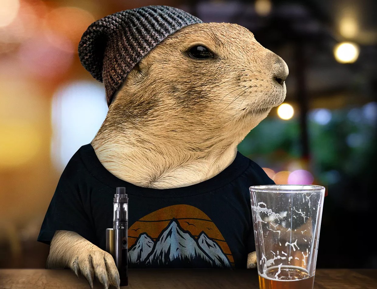 Rats, Raccoons, Geese and Prairie Dogs: Denver’s Becoming a Zoo!