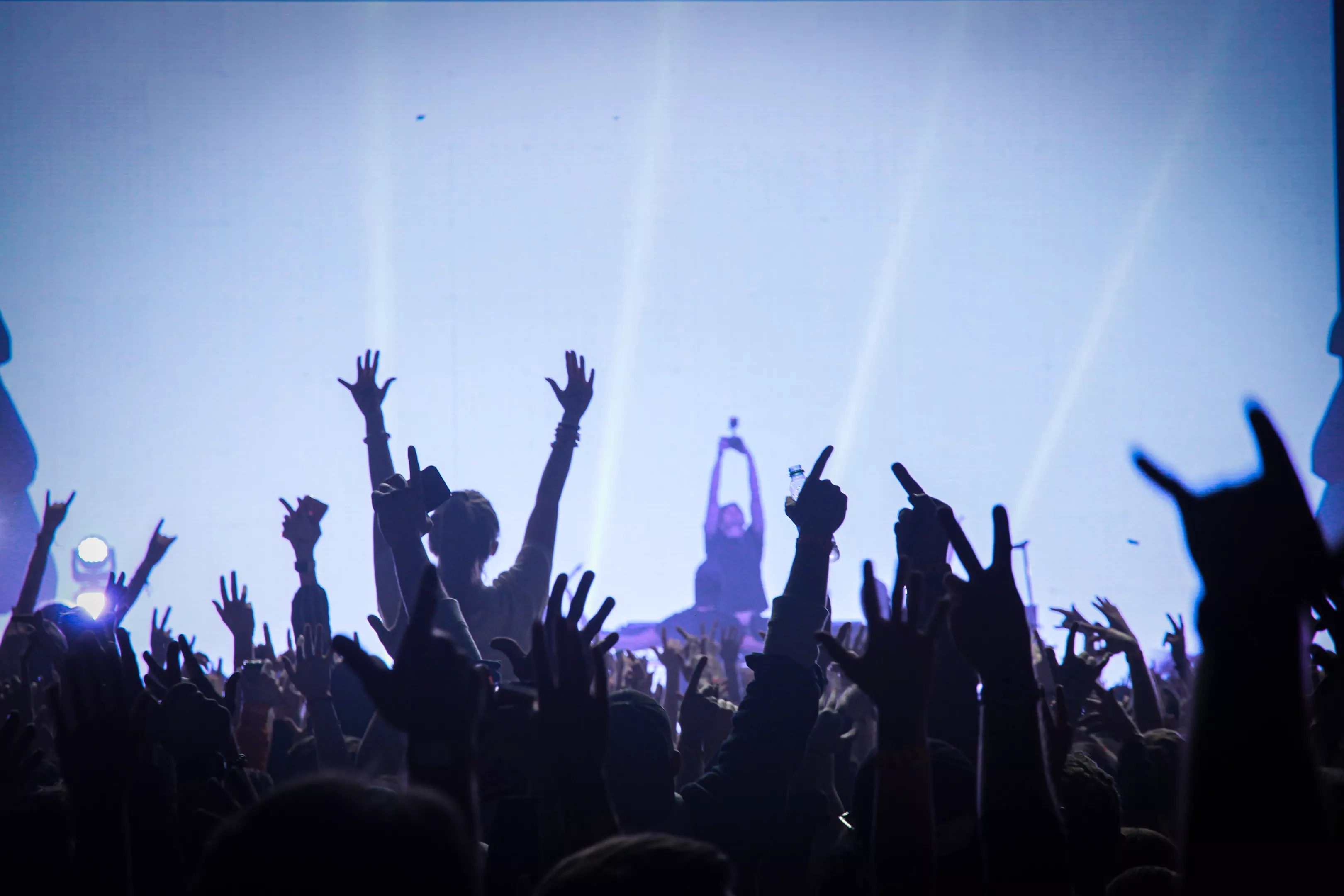 fans in a music venue
