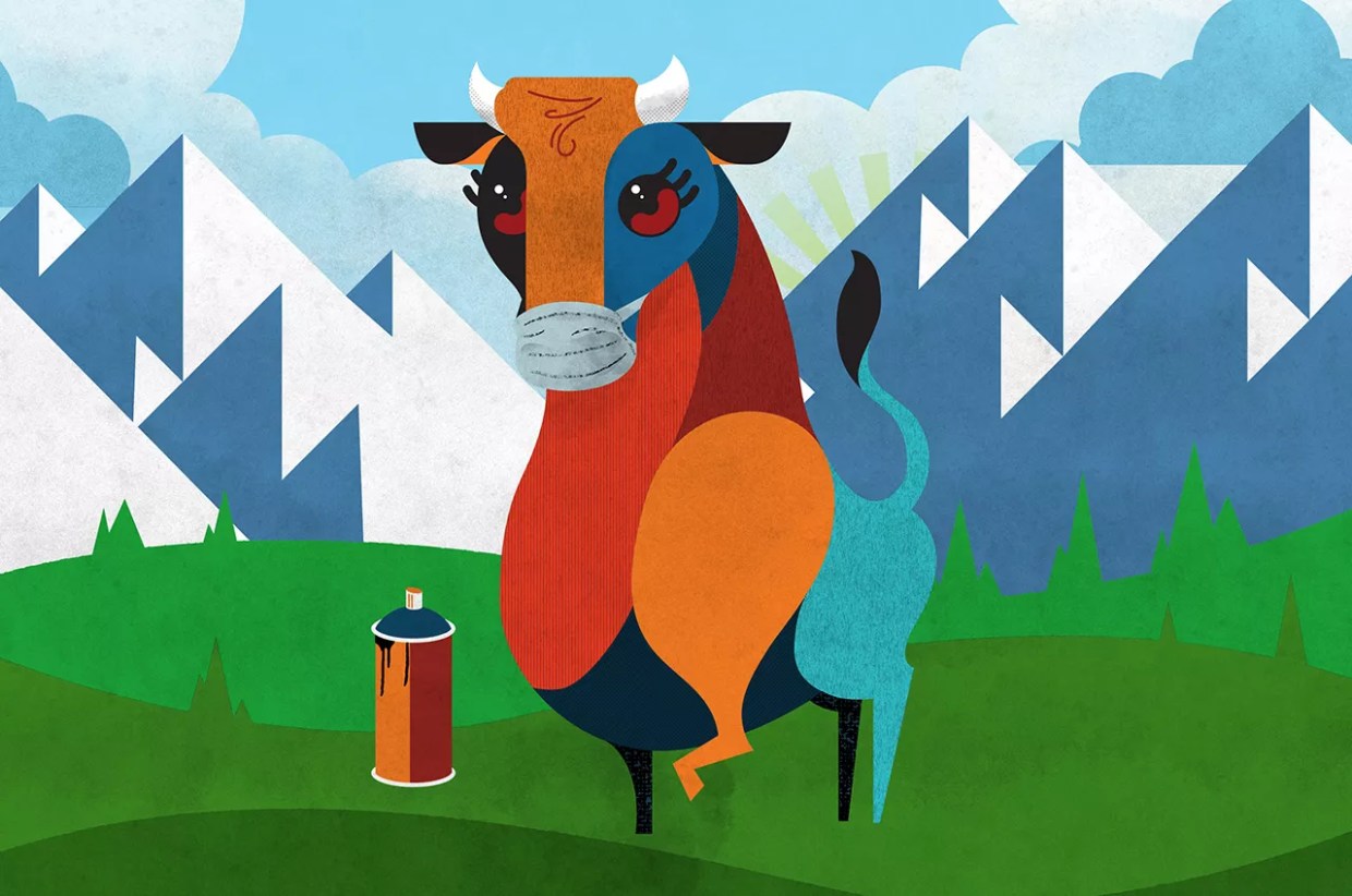 Making the Best of Denver: A Survival Guide