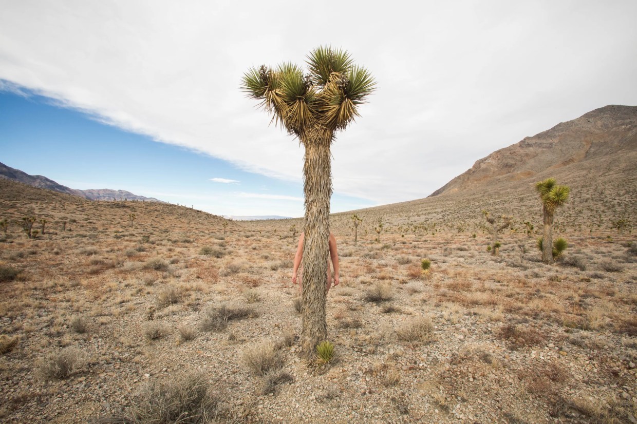 Watch This: Denver Video-Art Series Collective Misnomer Goes Online