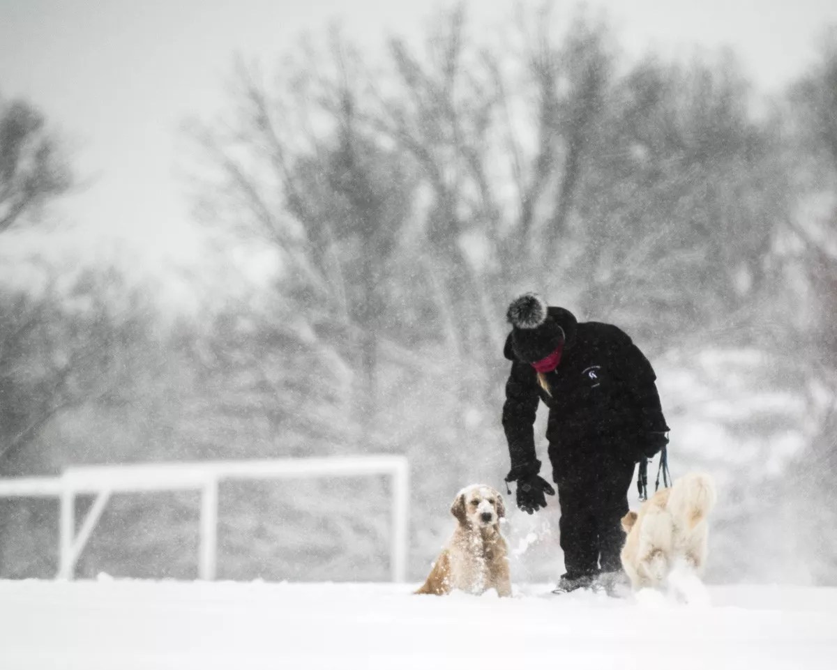 A Weighty Issue: Why Are Some Snowfalls Heavier Than Others?