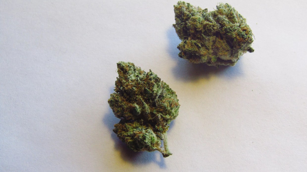 Why Colorado Tokers Love Ice Cream Cake
