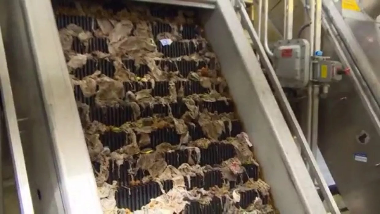 COVID-19 and What Stupid Coloradans Are Still Flushing