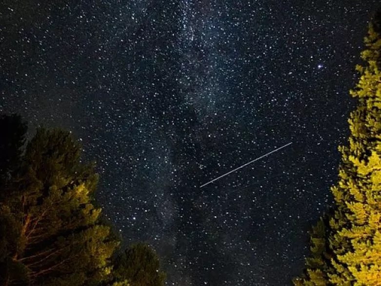 Howloween 2020: This Is Your Night to Howl!