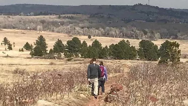 Snitch, Snitch, Snitch: Life in the Age of COVID-19