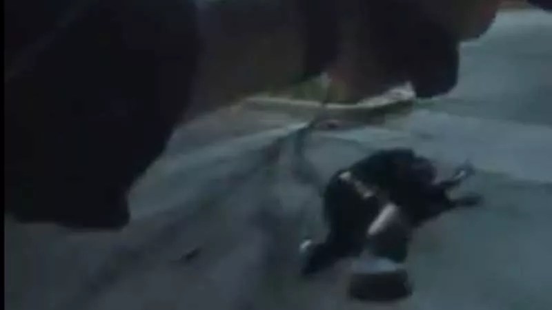 William DeBose Police Shooting Video: No Charges, Fresh Outrage