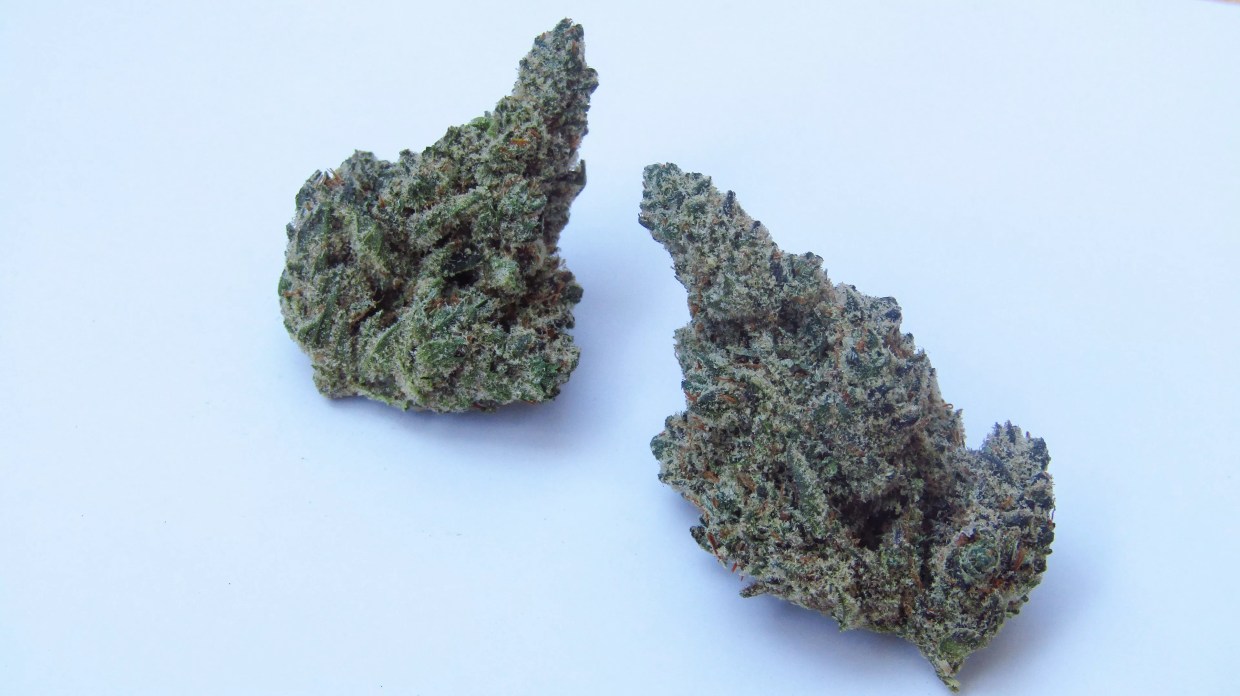 Why Colorado Tokers Love Member Berry