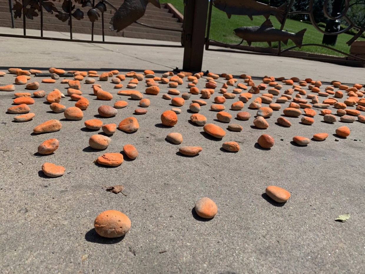 Advocates Urging Colorado to Release Medically Vulnerable Prisoners