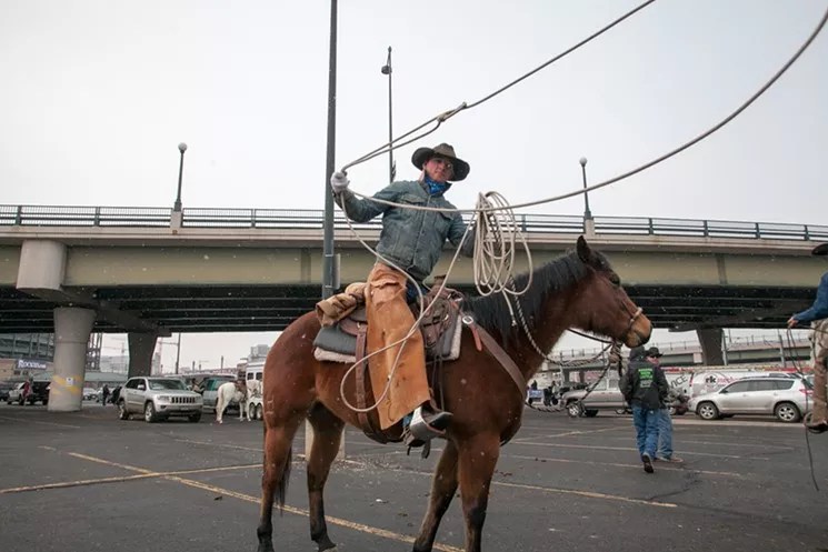Hold Your Horses! National Western Stock Show Postponed