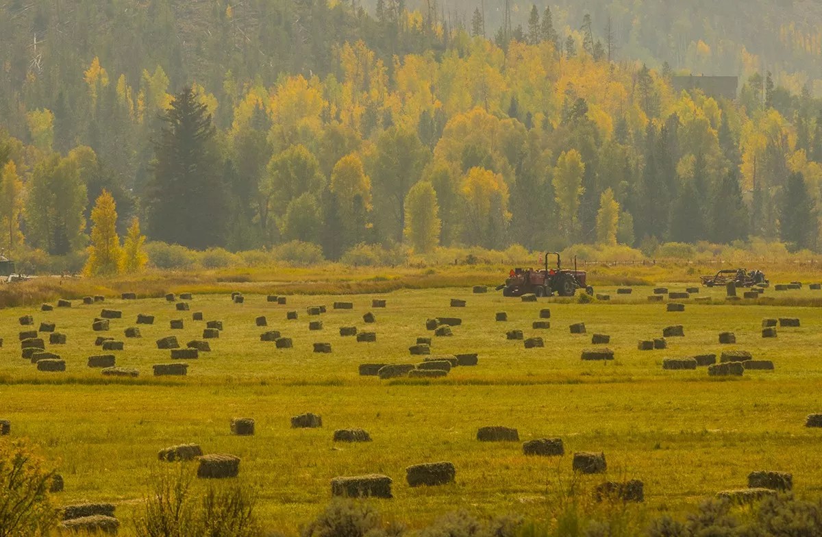 Hit the Road and Go for the Gold This Weekend