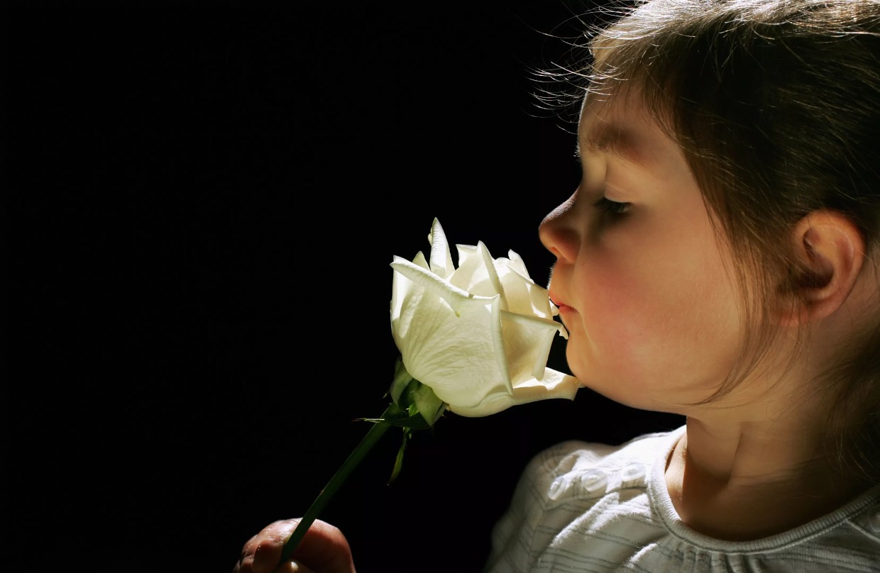 Stories on Stage Begins Twentieth Season With <i>Simple Pleasures</i>