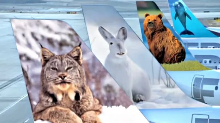 Frontier Airlines’ Bad Decade and Call for Federal Investigation