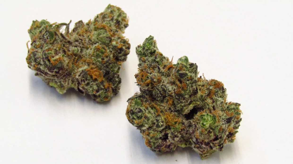 Our Ten Favorite Cannabis Strains of 2020